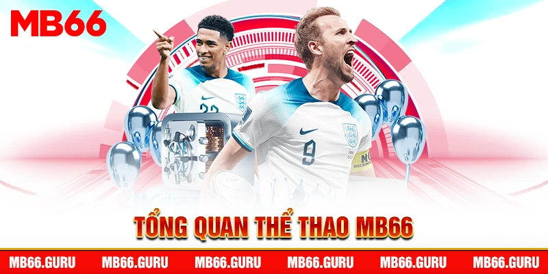 Tổng quan thể thao MB66